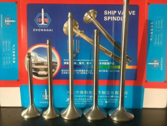 SKL 6R22HF Marine Engine Parts Valve