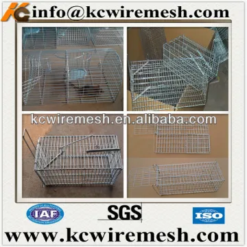 Foldable metal wire mouse trap cage in China.
