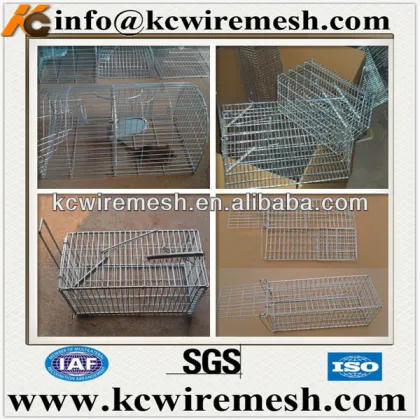 Live bobcat trap cage,wire live bobcat trap cages.