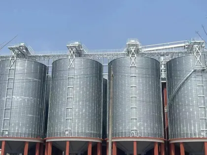 Storage of finished products for the cement industry