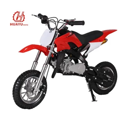 49cc Mini Motorcycle for Fun Racing