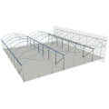 Agriculture Plastic Large Multi Span Greenhouse for Sale