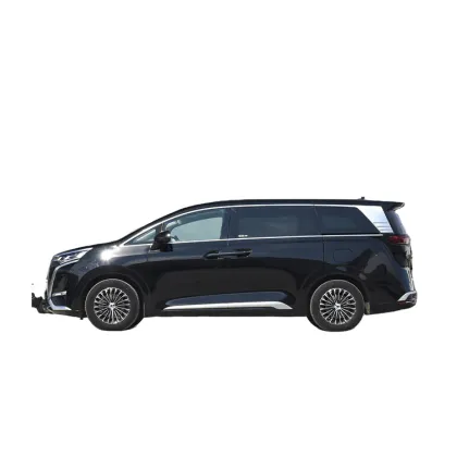 2024 Denza D-9: Unique Design Hot Sale Pure Adult Electric Cars