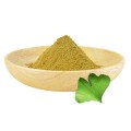 مسحوق Ginkgo Biloba Extract GBE CAS 90045-36-6