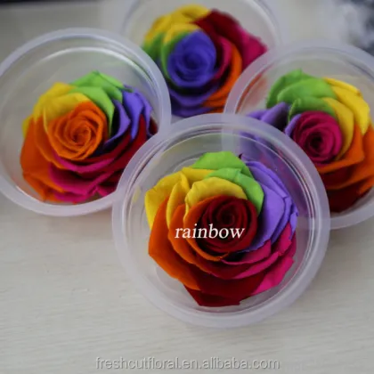 Wholesale 6-7cm Wide Red Fresh Preserved Rose Flowers