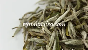 Premium Silver Needle White Tea