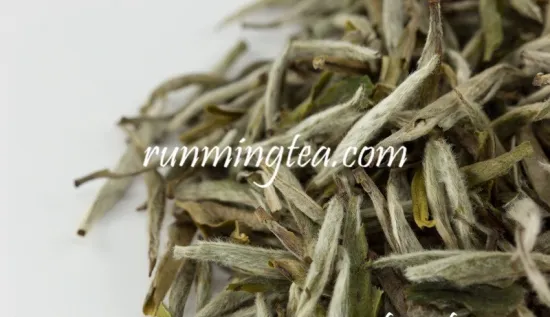 Premium Silver Needle White Tea
