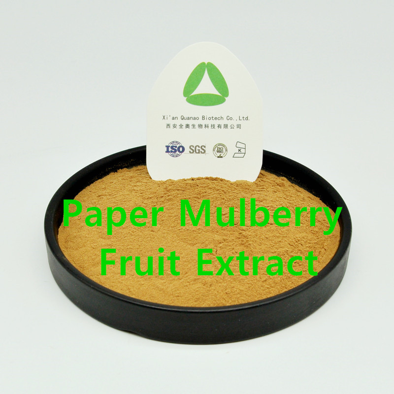 Papieren moerbei fruit extract poeder plant natuurlijk
