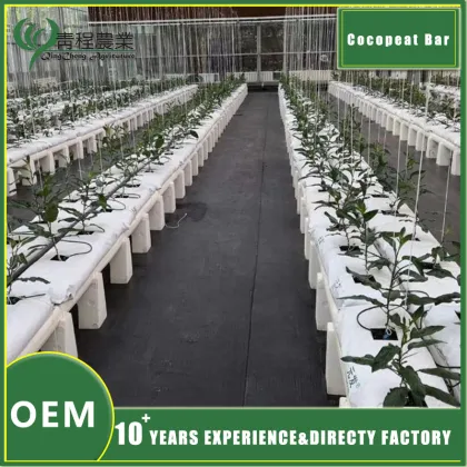 Coco Peat Soil Greenhouse Accessories