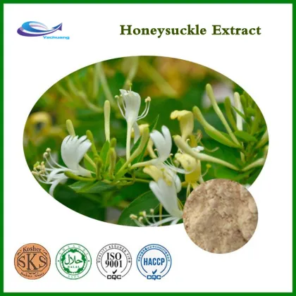 Best pure natural Honeysuckle Extract in stock