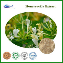 Honeysuckle Flower Extract 98% CAS:327-97-9 Herbal Extract