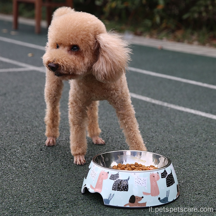 Etichetta per animali domestici verdi, tag di cartone per cani, tag per animali domestici