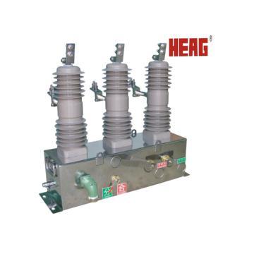 FZW38-12 Outdoor Vacuum Load Break Switch