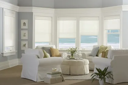 Automatic Home Smart Roller blinds