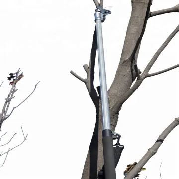Electric Long Pole Scissors for Apple, Olive, and Vineyard Trees