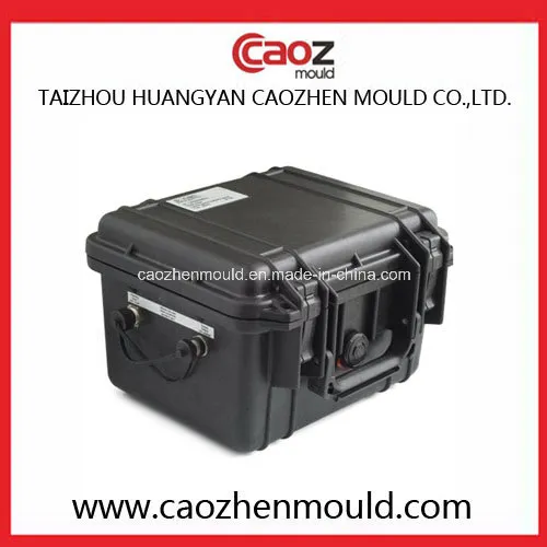 High Quality /Plastic Battery Box Mould in China