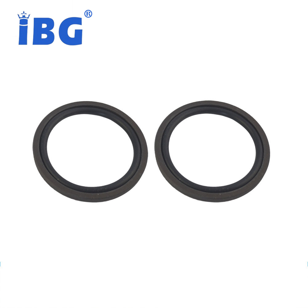  Piston Glyd Ring 