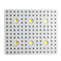 COB 3000W LED -Pflanze wachsen Licht