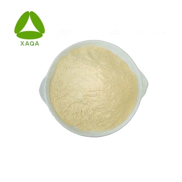 Erigeron Breviscapus Extract 95% Breviscapine Powder