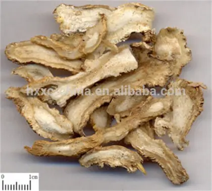 High Quality Dried Natural Herb Raw Materials Chinese Angelica Dang Gui