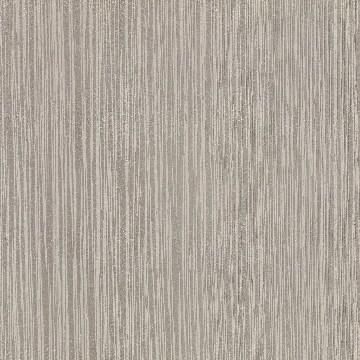Gray Lappato Pennia with Dot Tiles