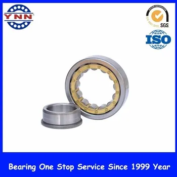 Cheap and Stable Performance Cylindial Roller Bearing (NJ 407)