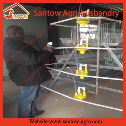 Hot sale poultry farms used chicken layer cages