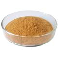 Ruscus Aculeatus Root Extract Ruscogenins Powder