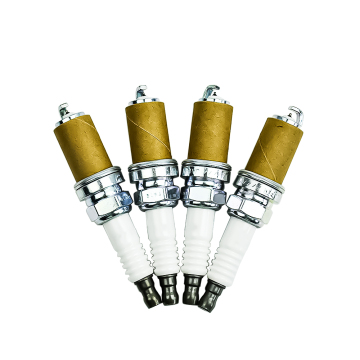 Double Iridium Spark Plug untuk Toyota Camry