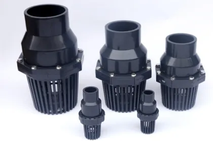 PVC Foot Valves: Industrial & Agricultural Supplies