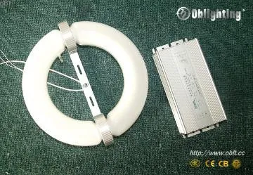 40W~400W electrodeless induction ballast
