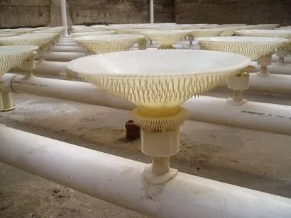 Rotary Mixing Aerators: Enhancing Efficiency with Nano Bubble Technology