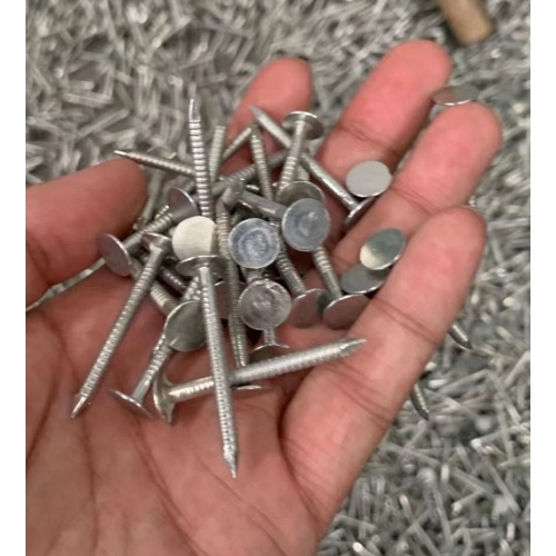 Ring Shank Clout Nails Ring Shank Clout Nails Factory