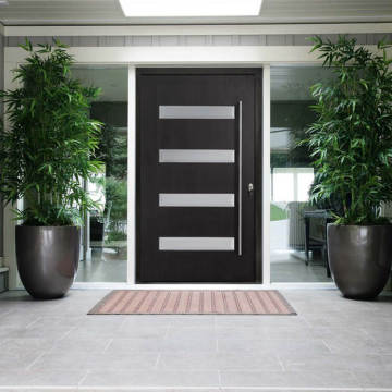 Modern Luxury Stainless Steel Security Pivot Doors for Entrances and Fronts