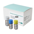 CE Monkeypox Antigen Rapid Test Cassette