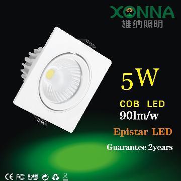 Adjustable cob downlight, XN-TD1705