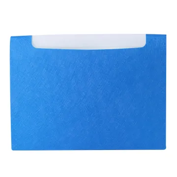 Accordion pu Organ file bag