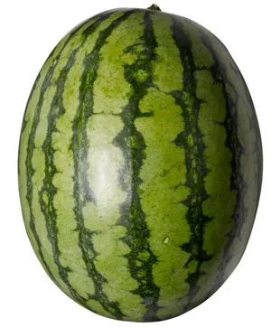 Fresh Water Melon
