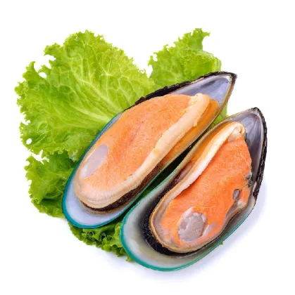 Green Mussel Powder bulk
