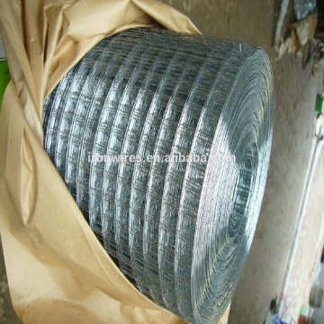 low price welded wire mesh/ galvanized welded wire mesh/ PVC coated wire mesh fence supplie