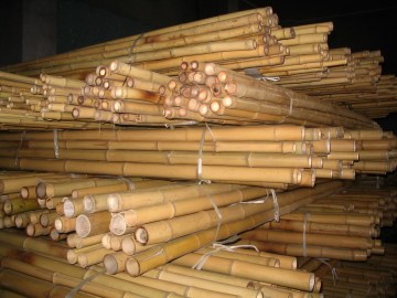 Bamboo Poles