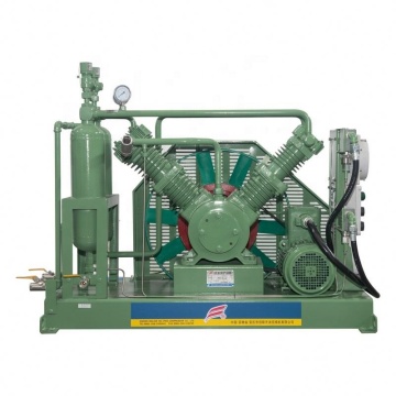 Affordable Customizable CO2, Helium, Hydrogen Gas Compressors at 200 Bar and 350 Bar Pressure