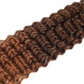 MT4 30 Multi Tone Blend Crochet Faux Locs