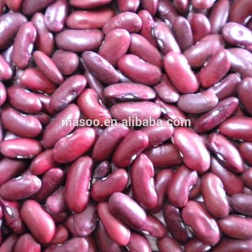 British Red Kidney Beans,Red Kidney Beans,Dark Red Kidney Beans(English type)