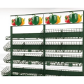 Multi-standard fruit and vegetable racks in the supermarket