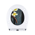 Fanmitrk Duroplast Toilet Seat Plumeria pattern UF819-40