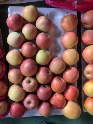 High Sugar Degree Honey FUJI Apple