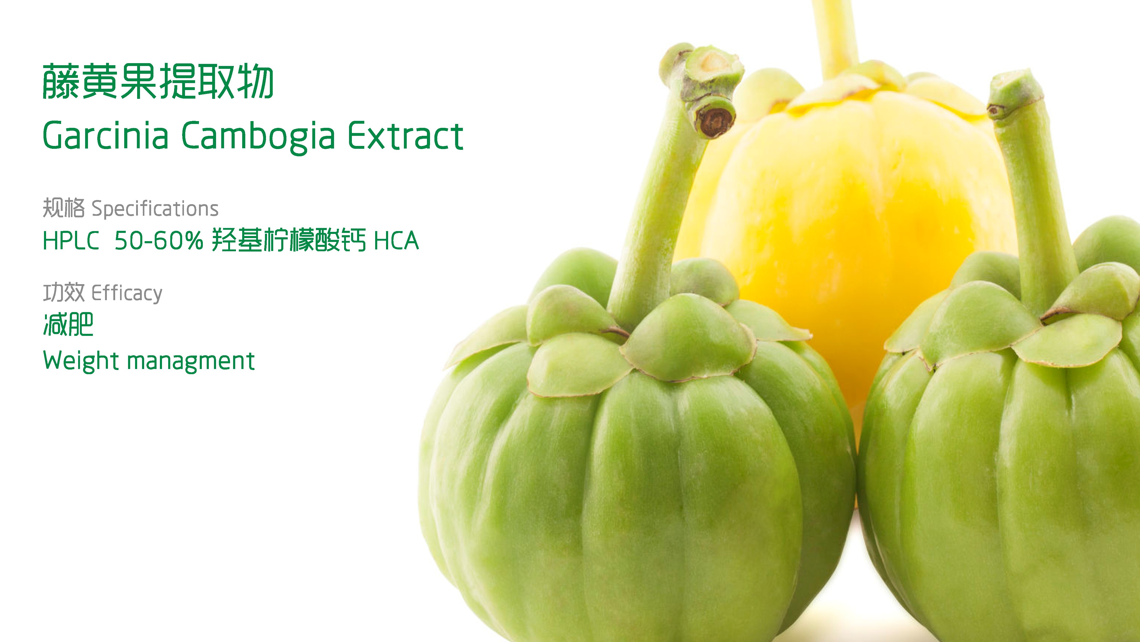 Garcinia Cambogia Extract (6)