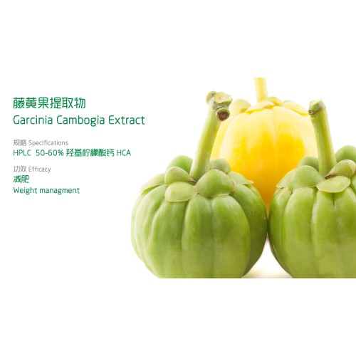 Garcinia Cambogia Extract HCA 50% Hydroxycitric Acids