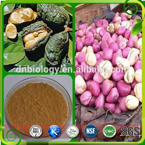 Cola Nut Powder Kola Nut Extract, High Quality Cola Nut Powder Kola Nut